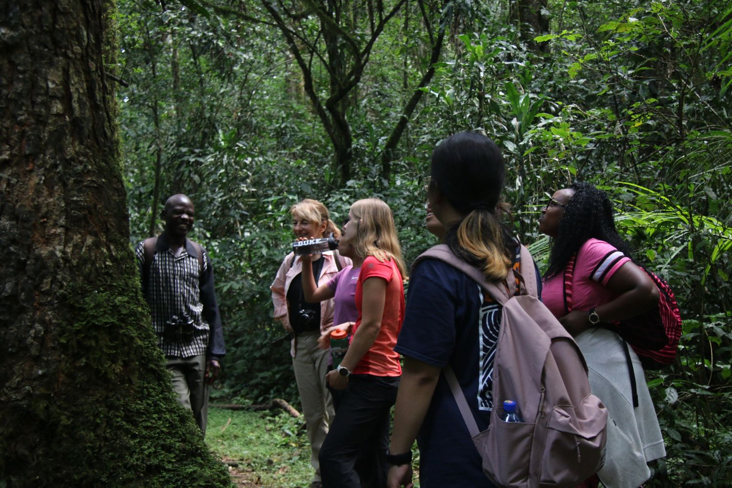 Kakamega Forest Tour