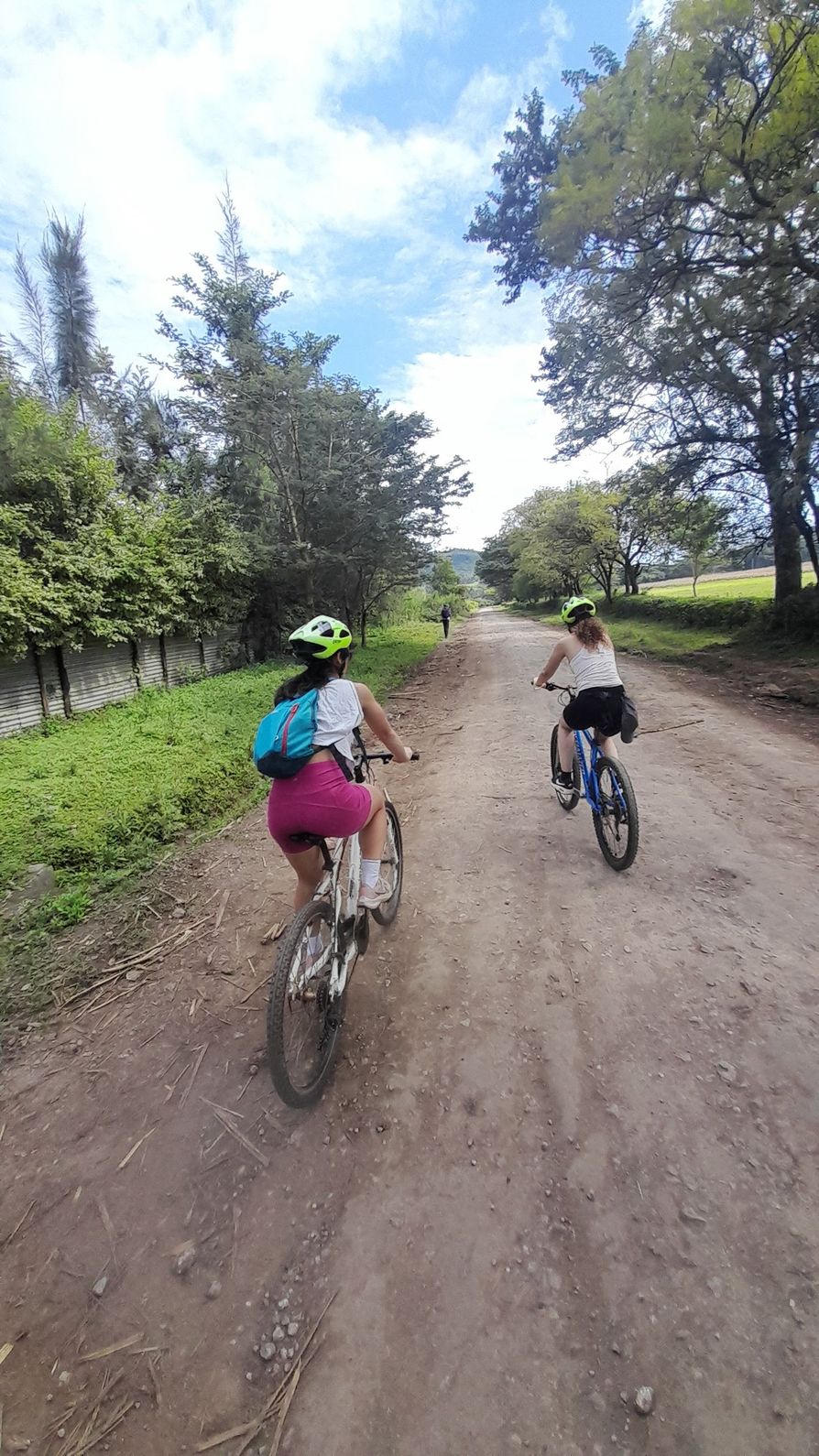 Kericho Tea Plantations BikeAway