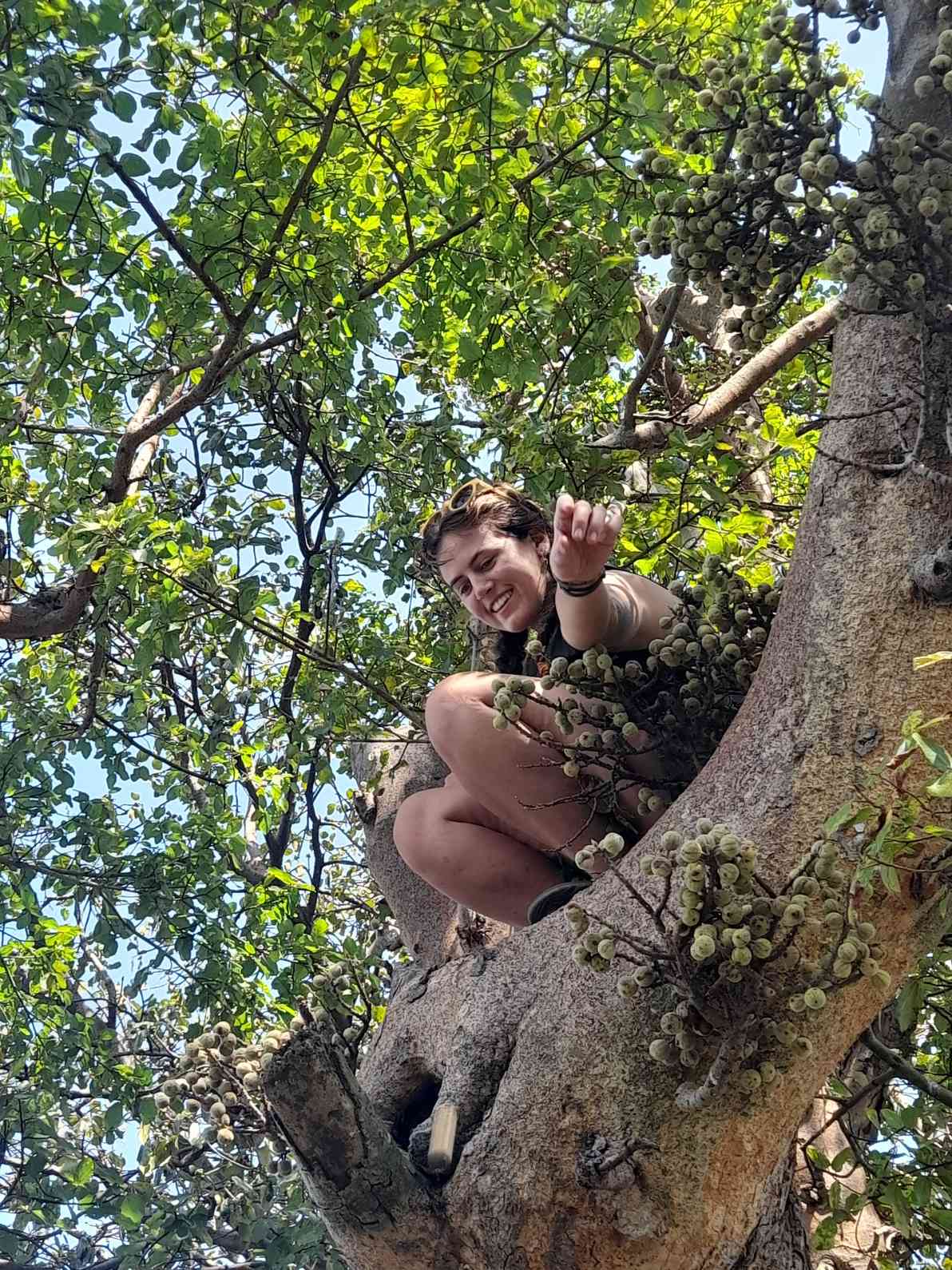 Amboseli National Park